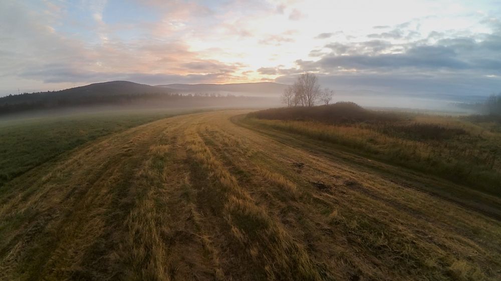 Осенний туман.