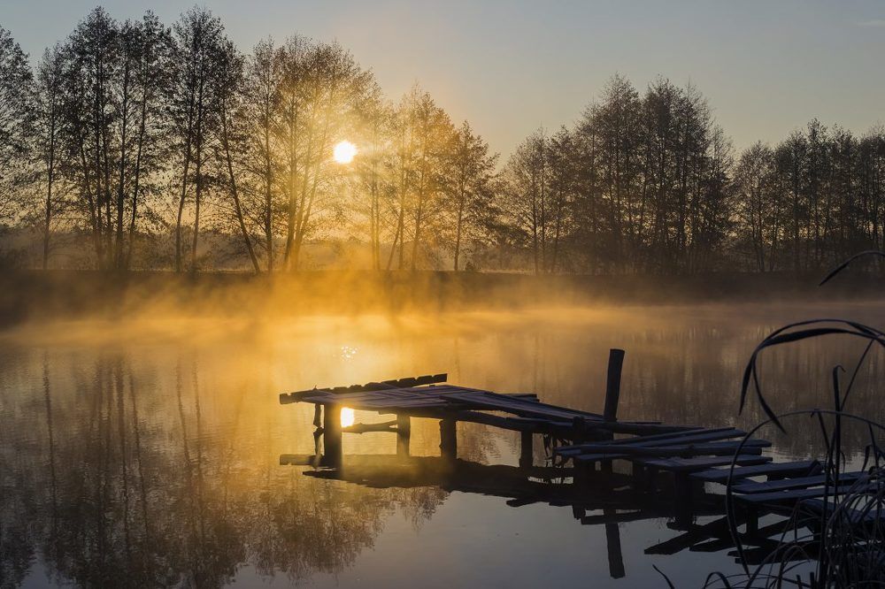 Из серии "Рыбацкое место"