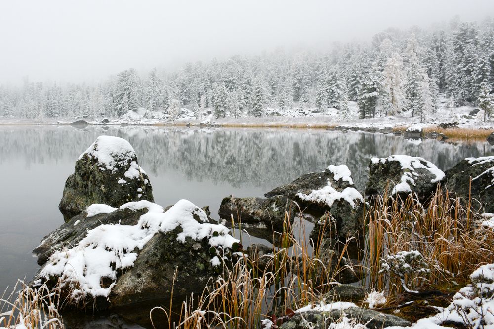 Photograph by Щербакова Галина