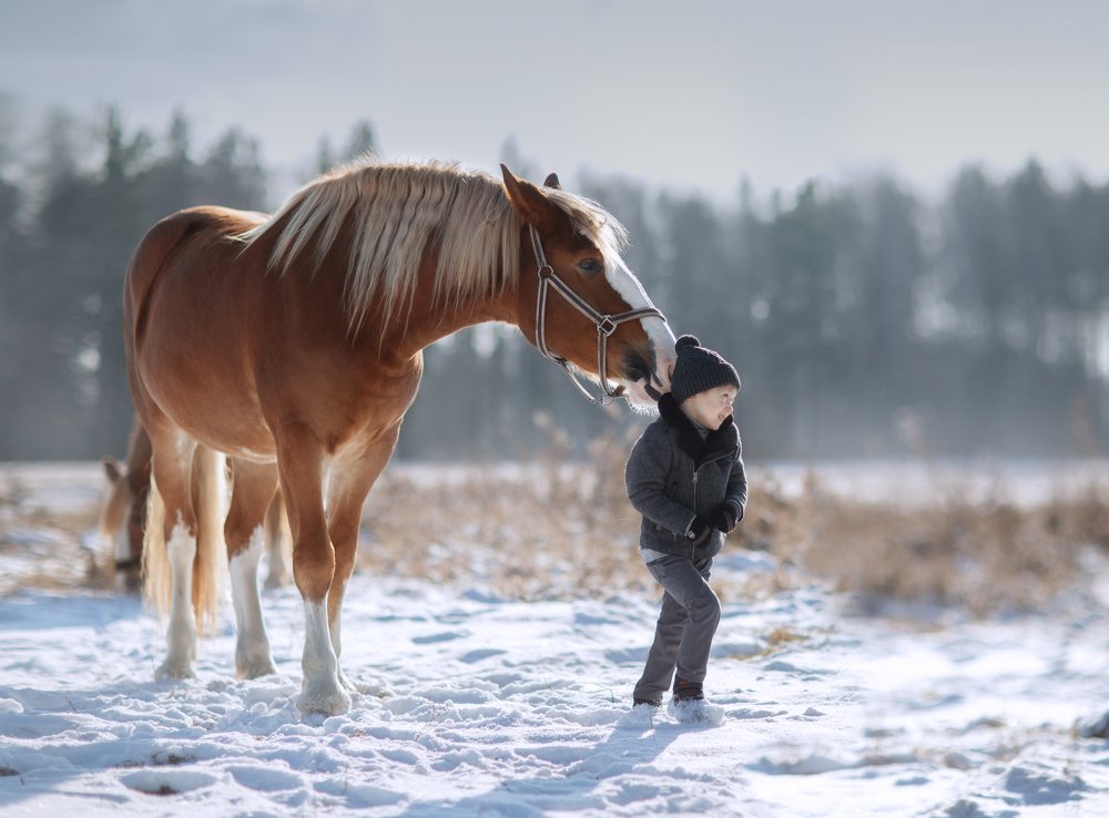 Photograph by Наталья Бурнина