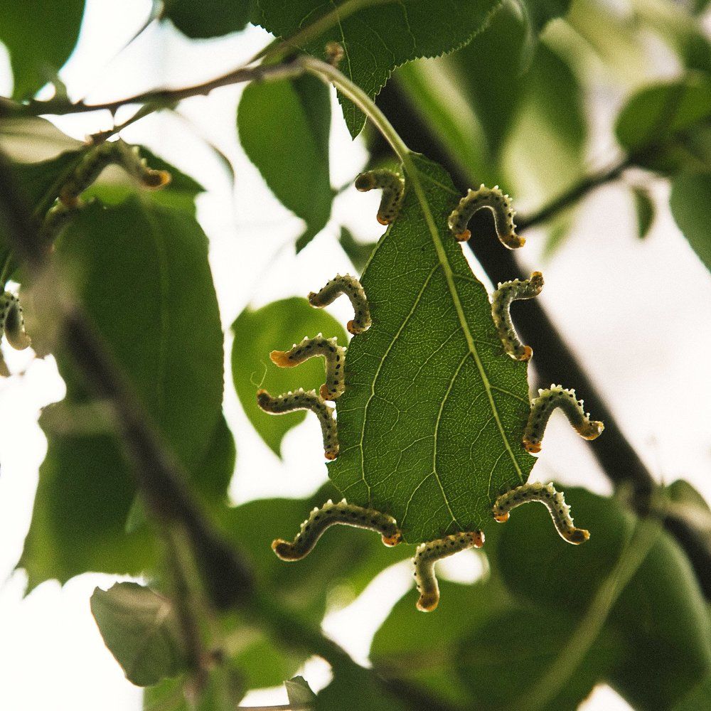 Черная пятница!)