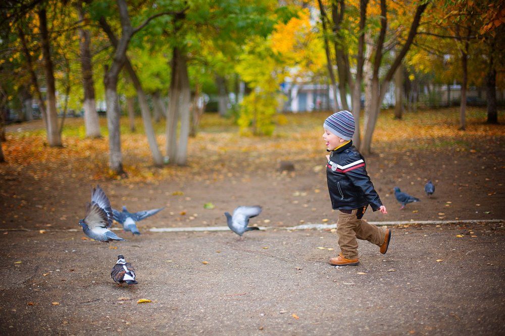осенние зарисовки