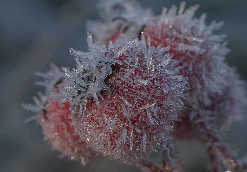 Хрустальные ягоды