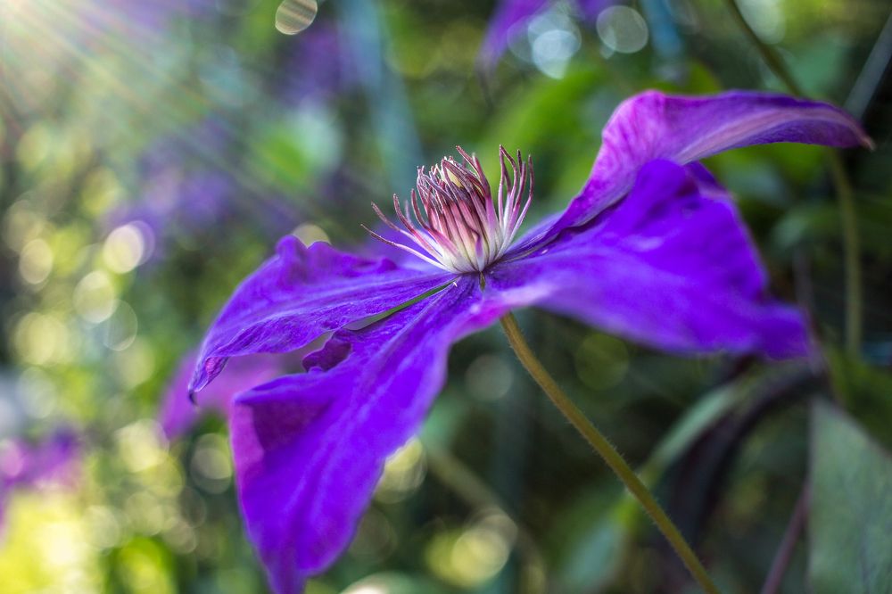 Пригретый солнцем