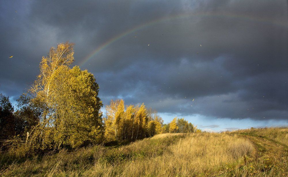 Осенний этюд 2