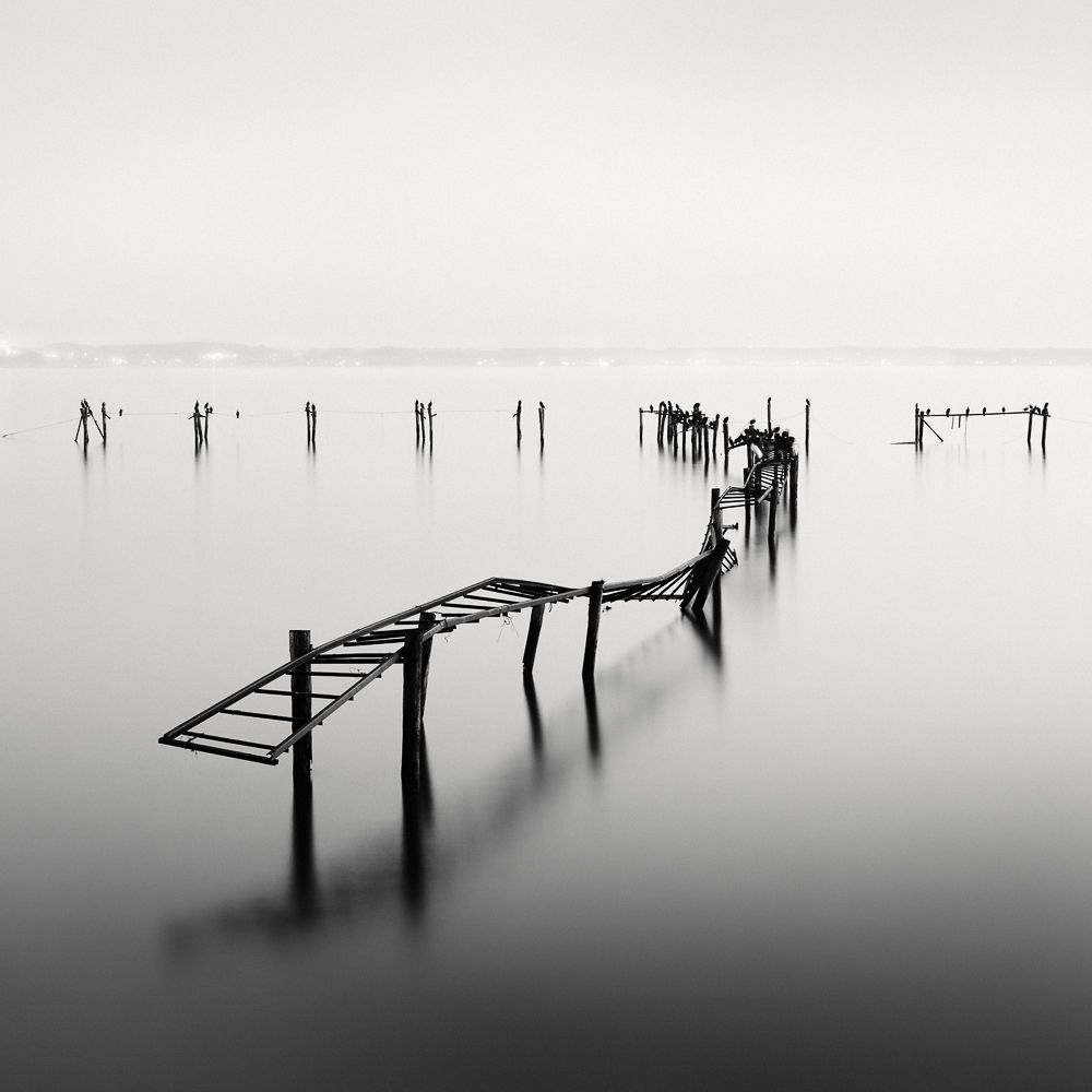 Remains and Cormorants, Japan