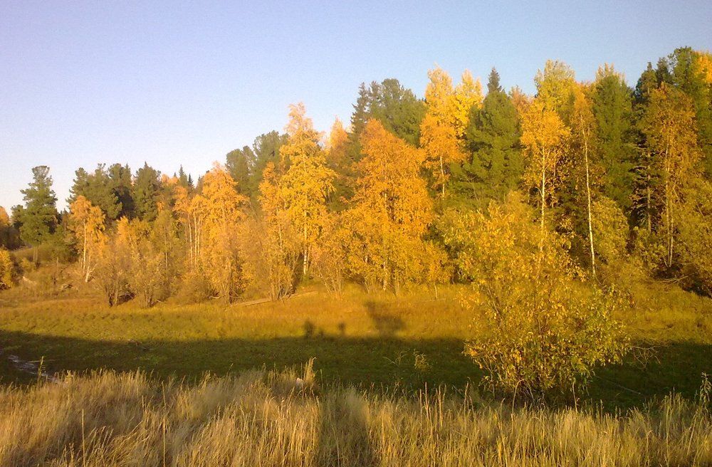 Photograph by Евгения Вильцан
