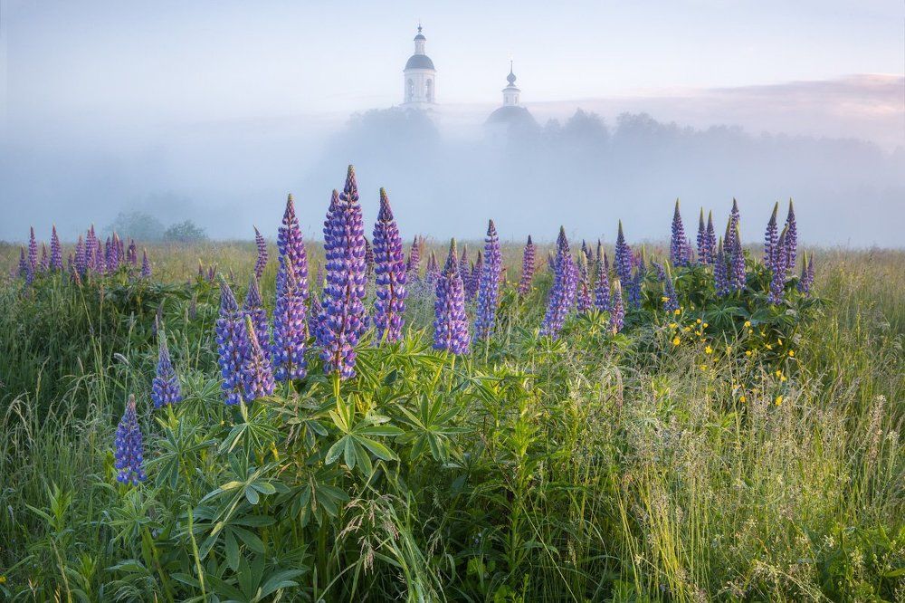 Филипповское