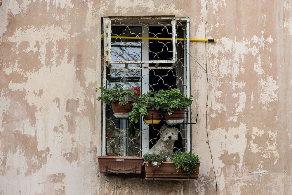 Одиночество