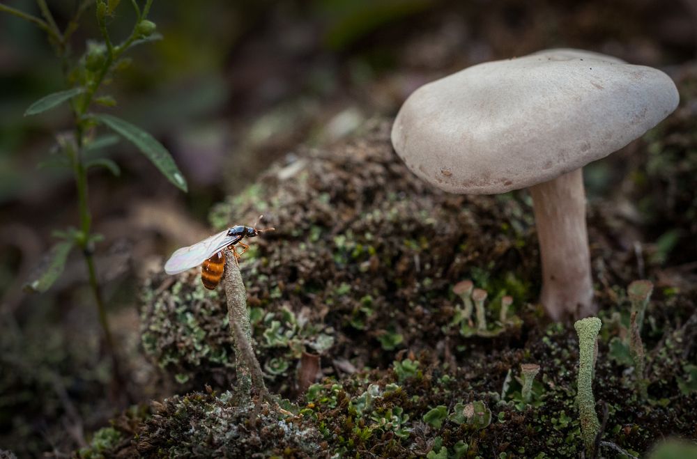 Photograph by Halyna Nechyporuk