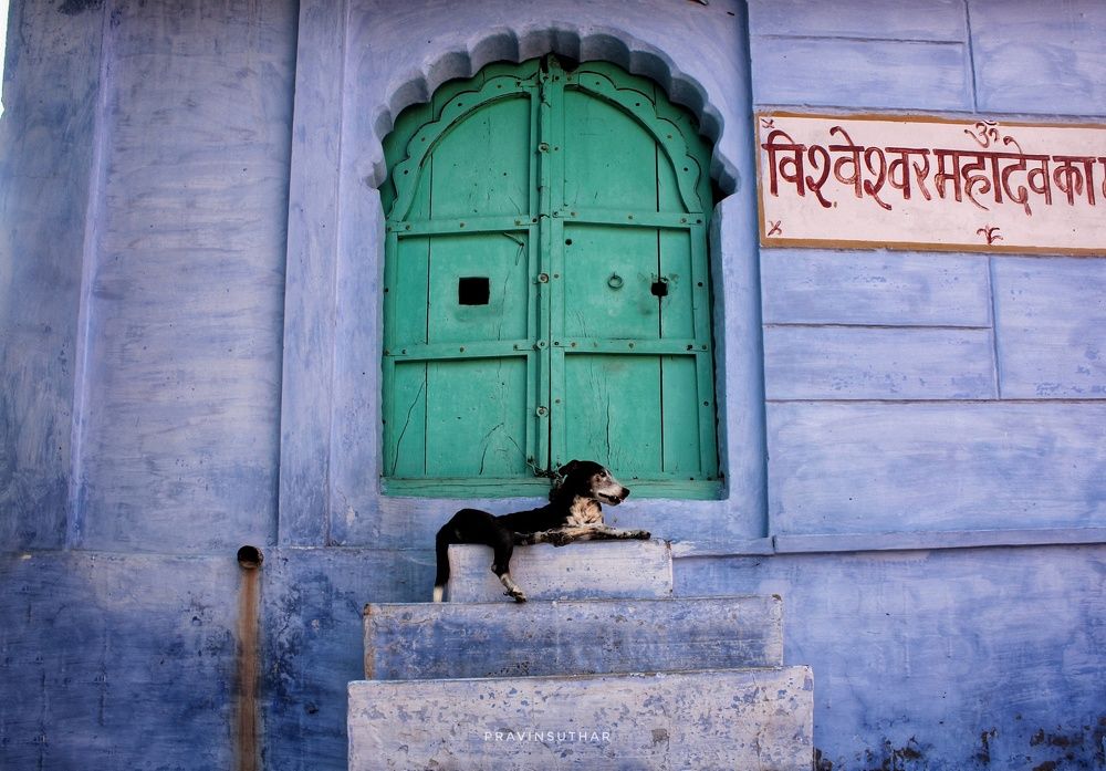 Guardian Of The Blue City