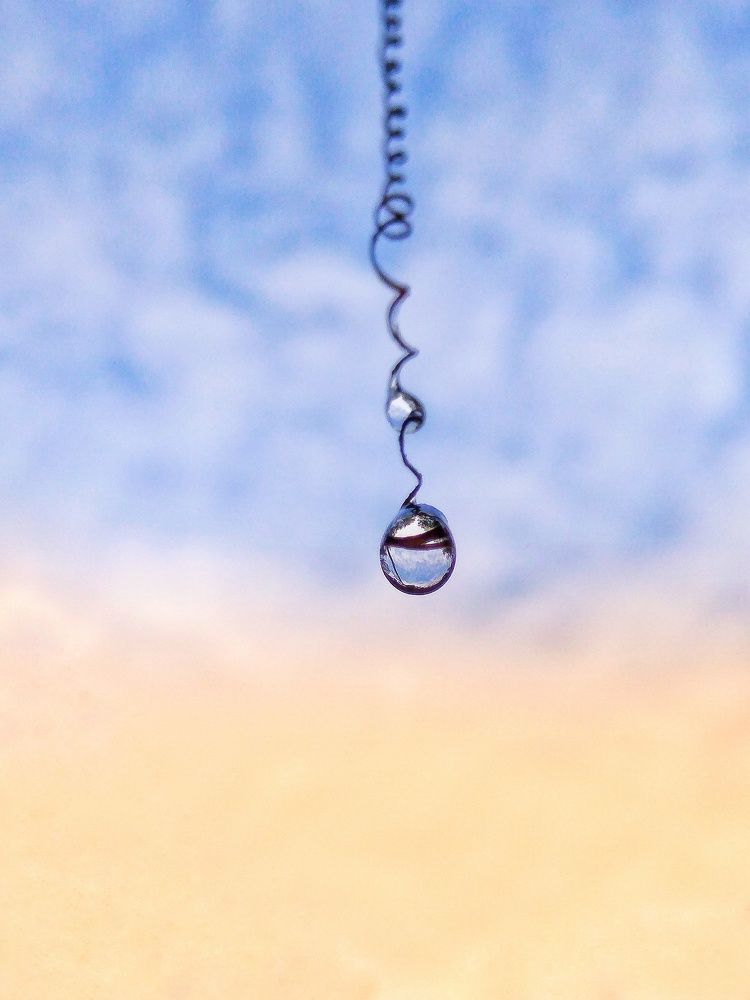 Photograph by Sharmin Shammi Shammi