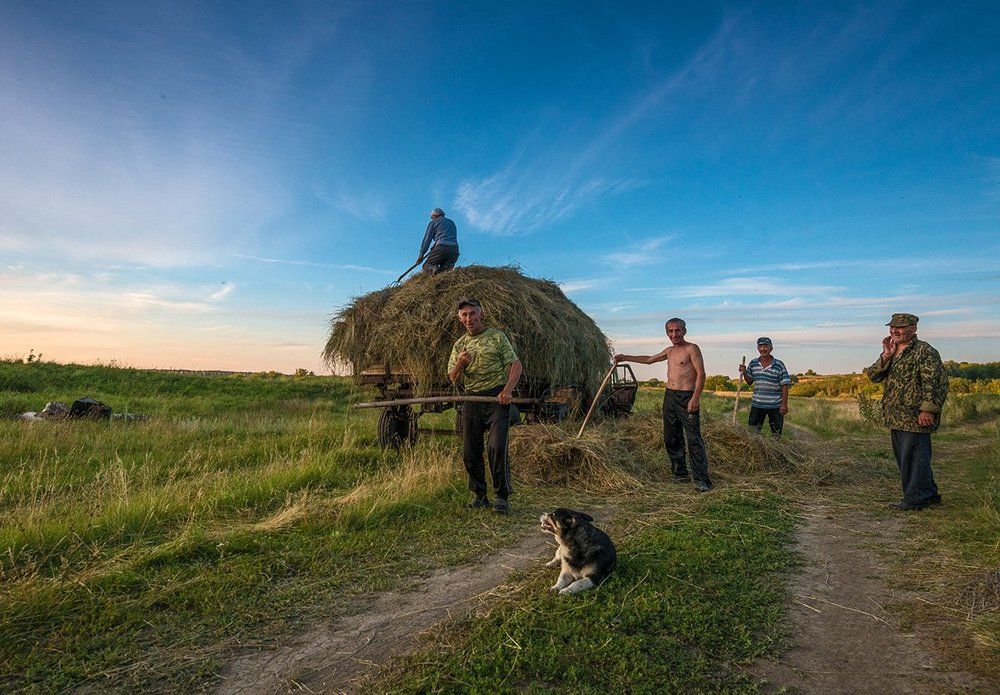 Пора сенокосная...