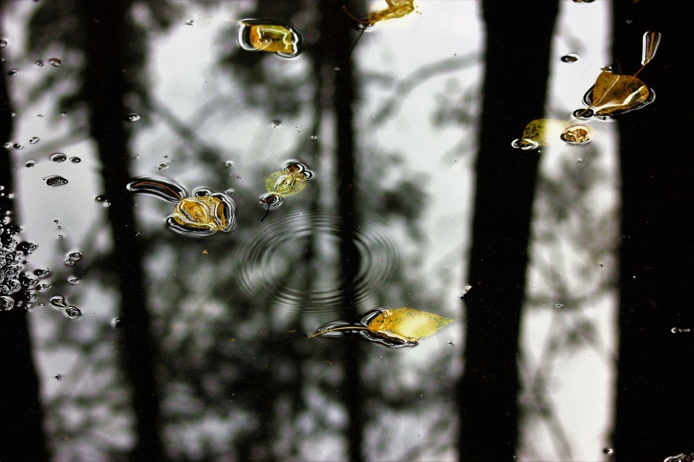 После дождя