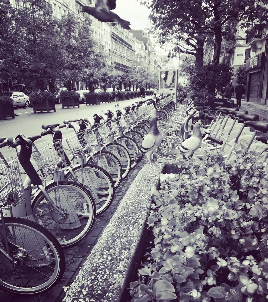 Photograph by Hakhumyan Anna