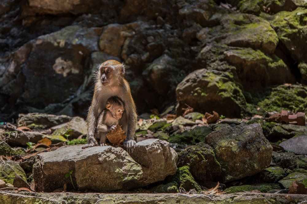 Photograph by Димтрий