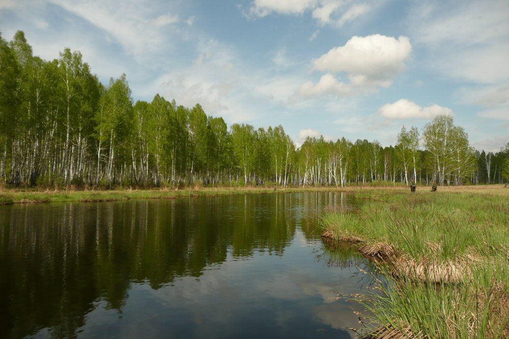 малая родина