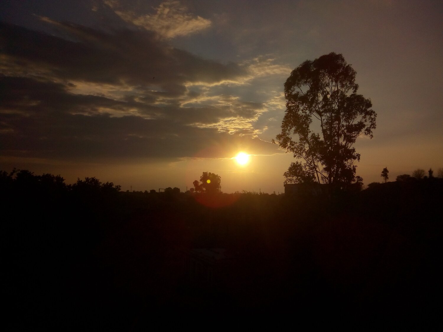 A pearl by the dusk...