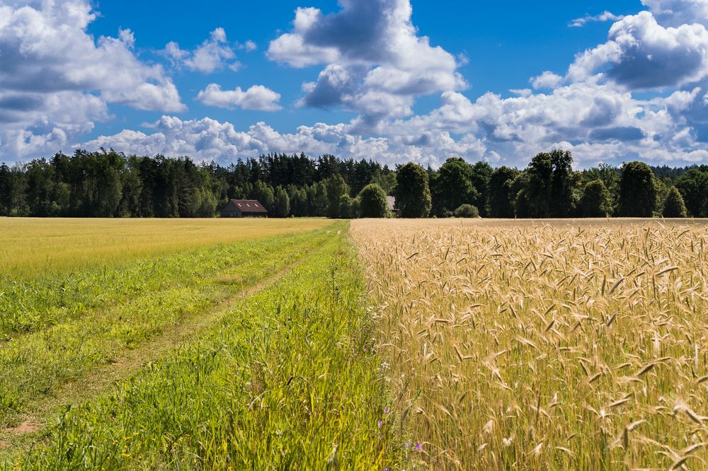 Равновесие