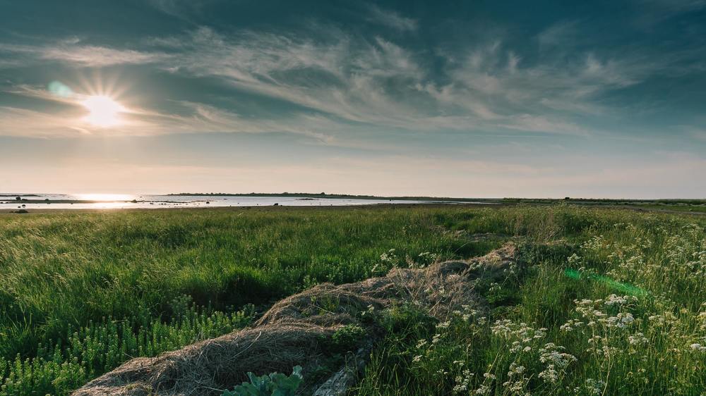 Вечер в Эстонии