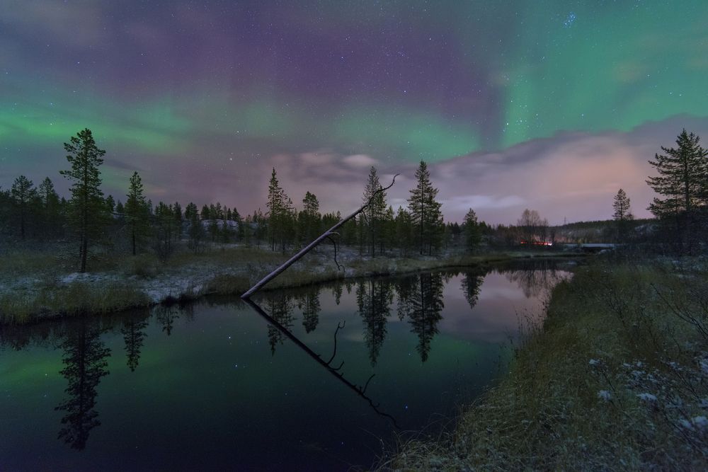 первый снег...