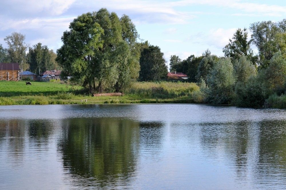 Photograph by Высочина Ирина