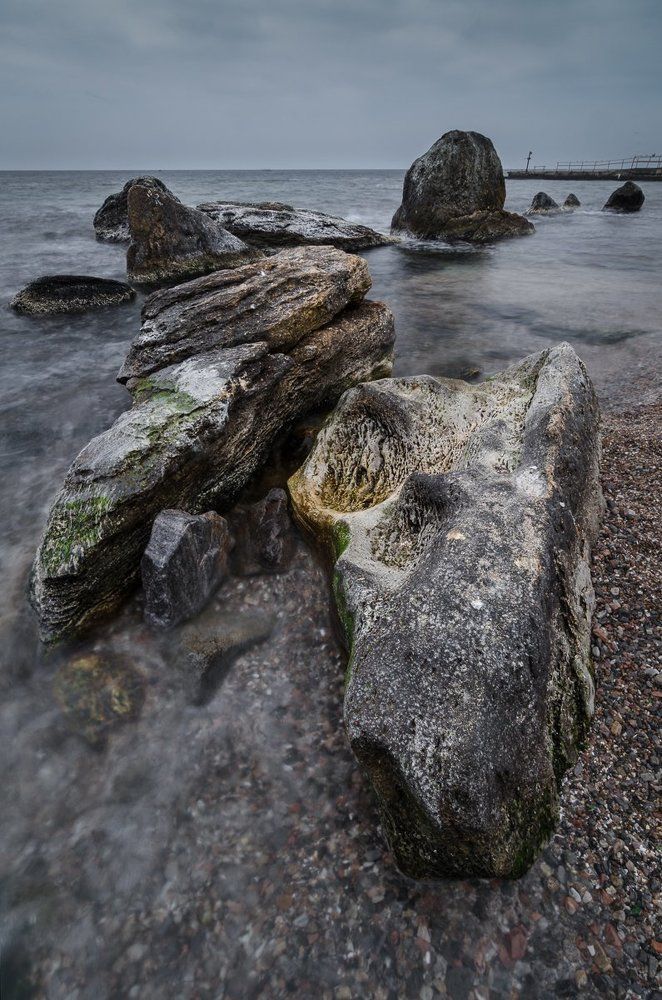 Морской череп