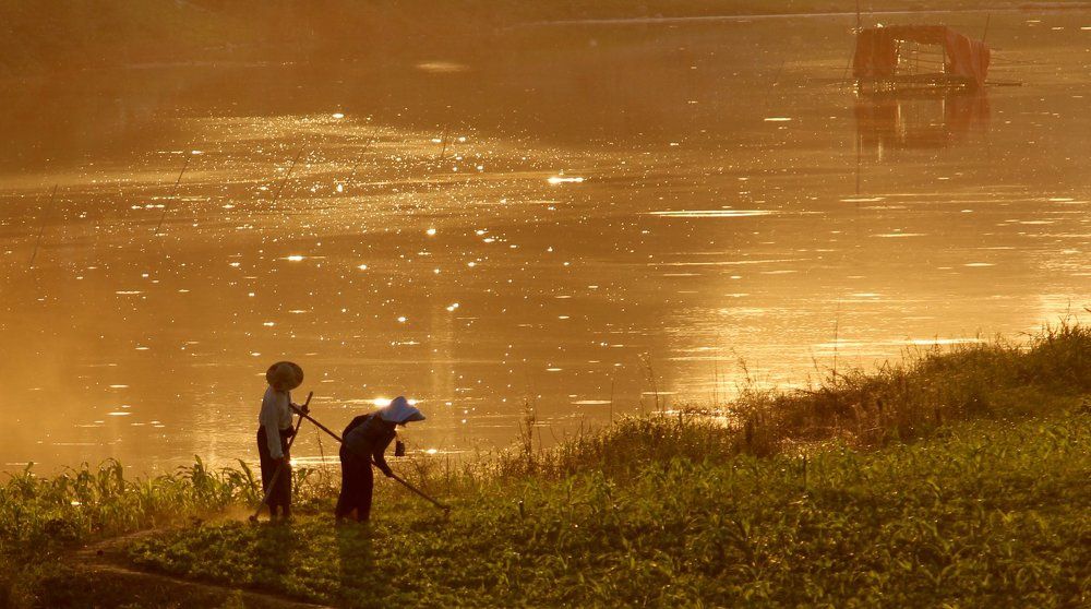 The life of unity couple