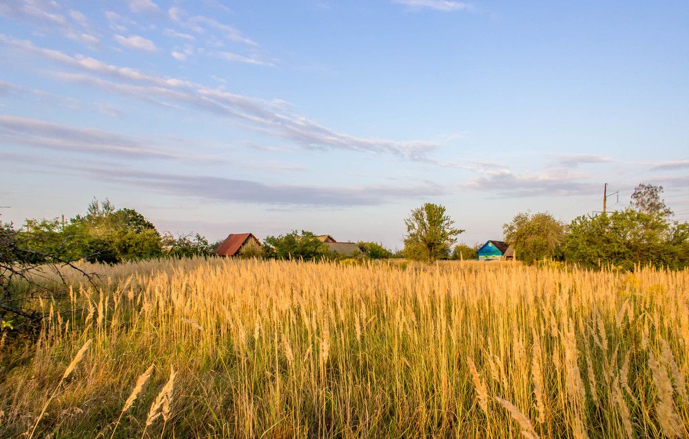 Photograph by Никифоровец Татьяна