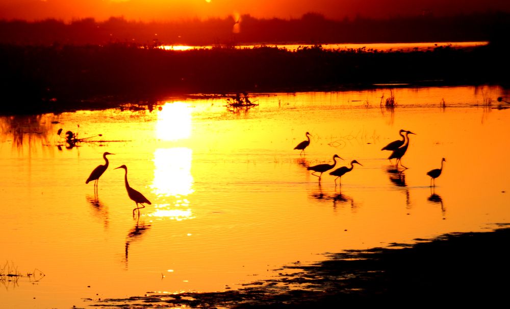 Photograph by Ko Tunn