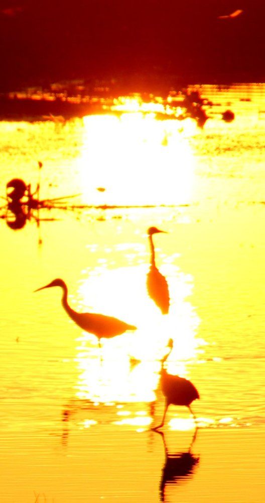 Photograph by Ko Tunn