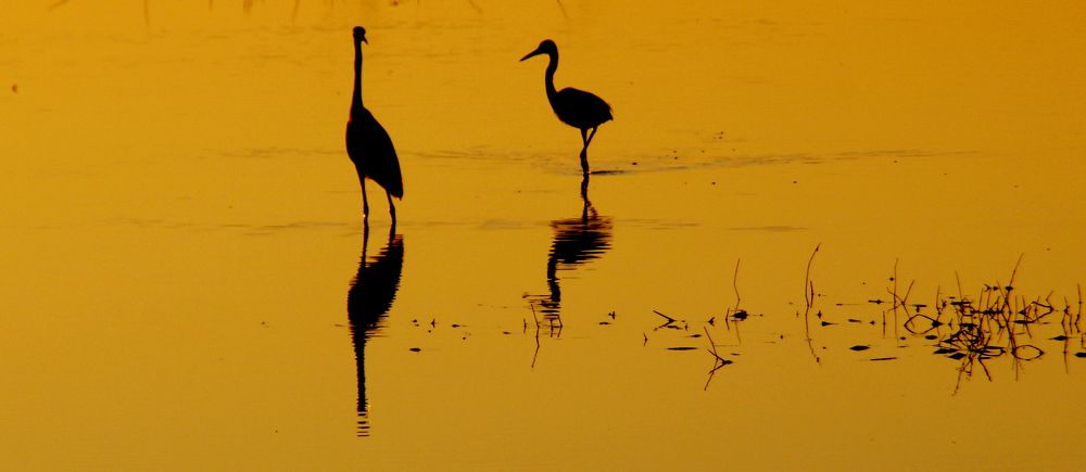 Photograph by Ko Tunn