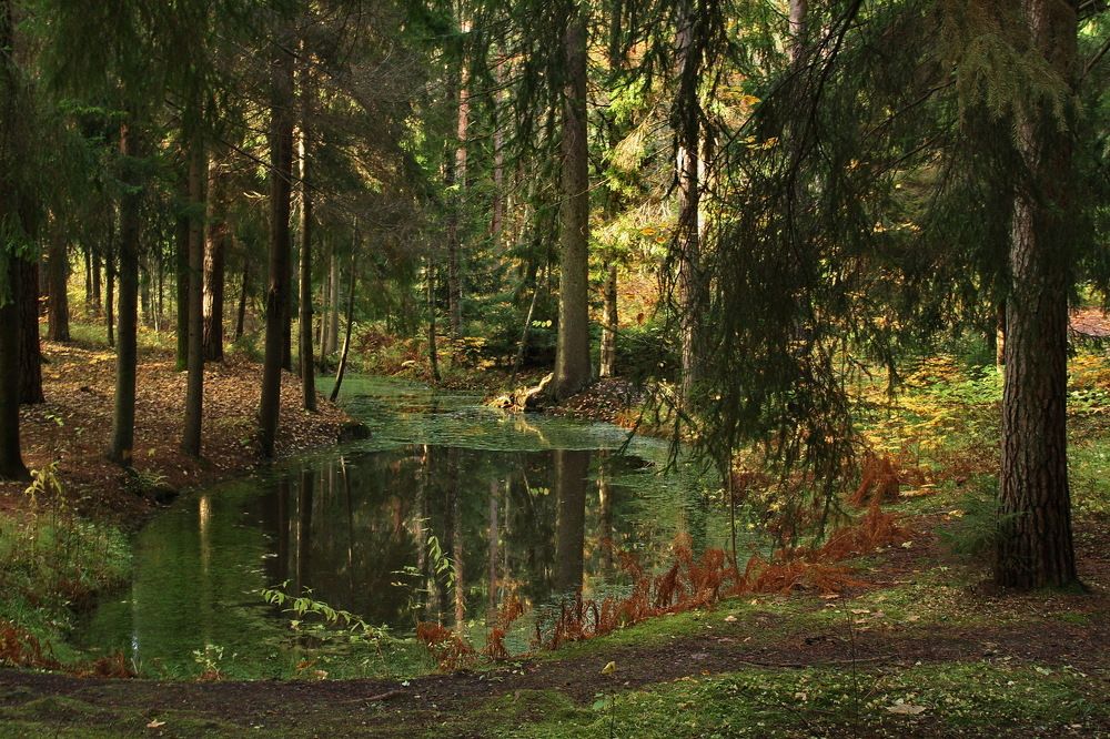 В ожидании Аленушки...