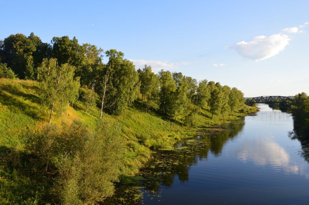 Родная природа