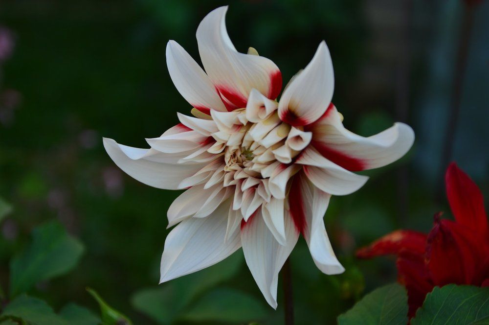 Photograph by Юрий Подвойский