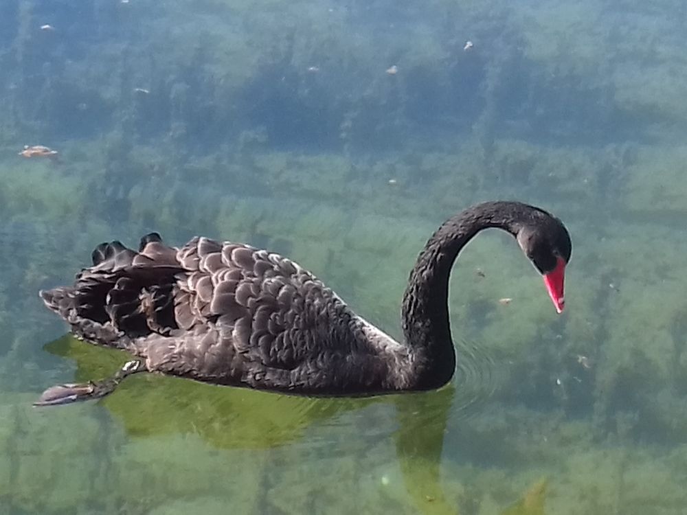 Завораживающая красота