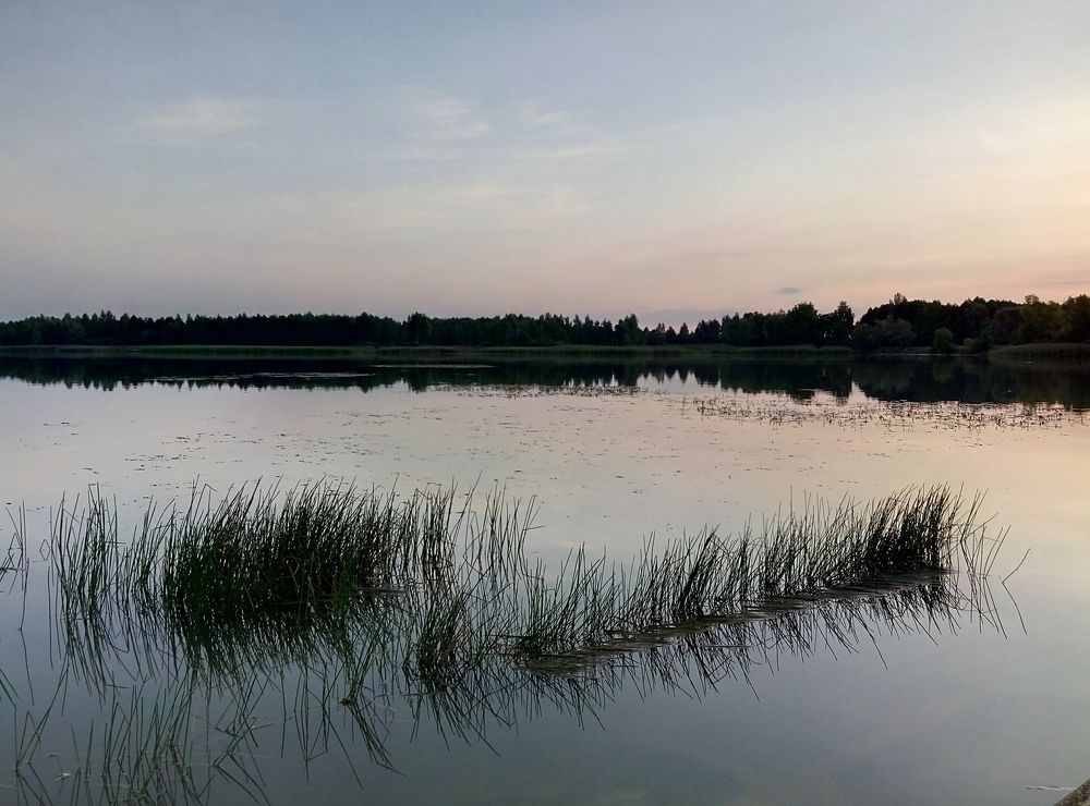 Утренняя гладь воды