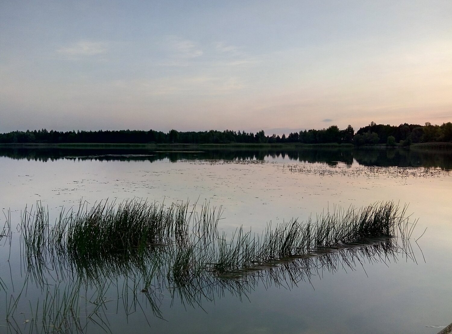 Утренняя гладь воды