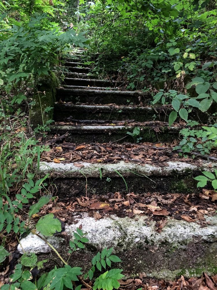 Лестница в затерянный город