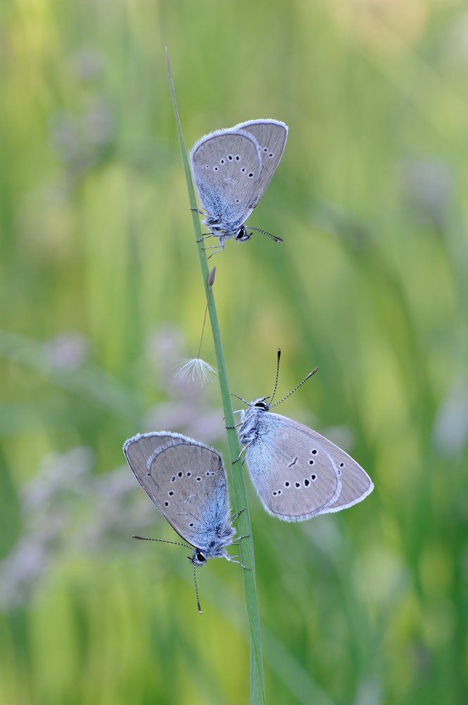 На подиуме.