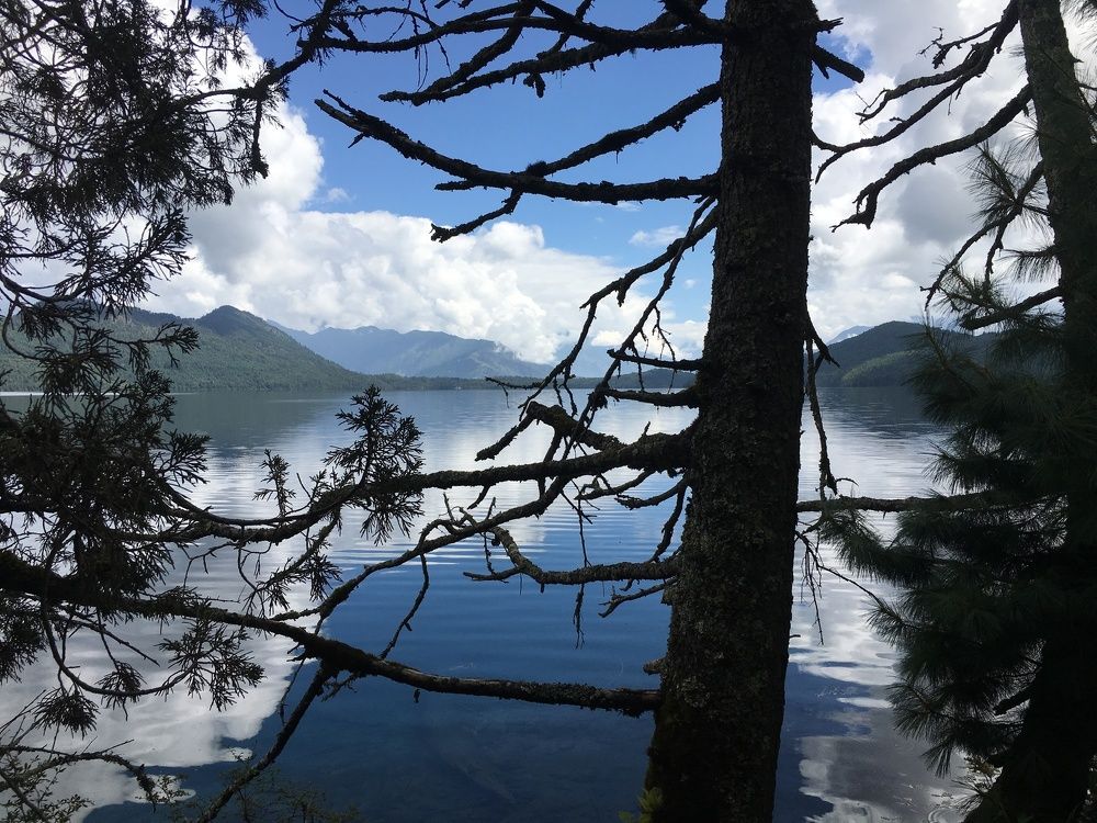 Nature Protects Itself