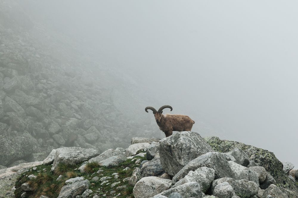 Среди камней и тумана
