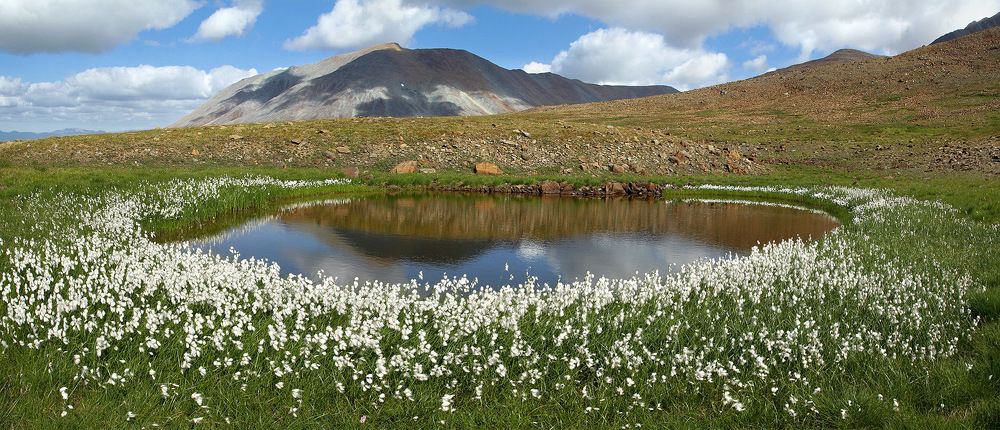 Мягкие зеркала Полярного Урала