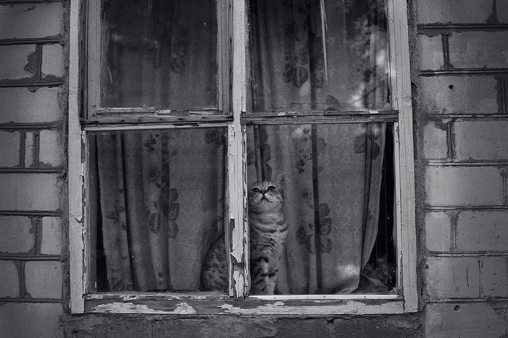 Photograph by Ольга Юсупова