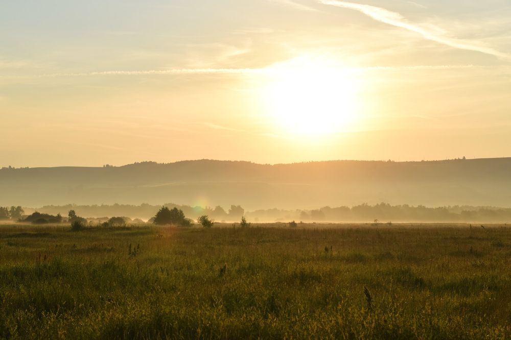Туманное утро