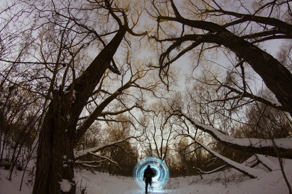 Таинственный лес