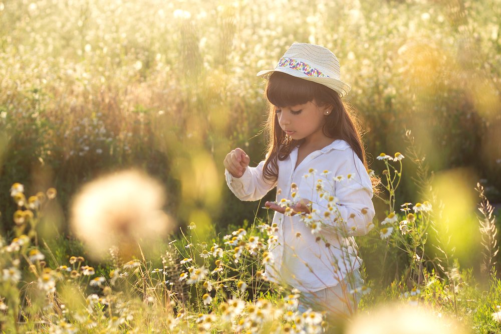 Солнечное счастье