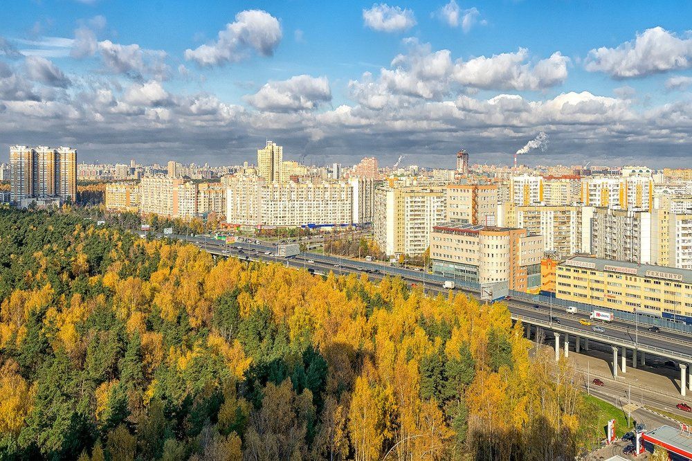 Солнечная осень.