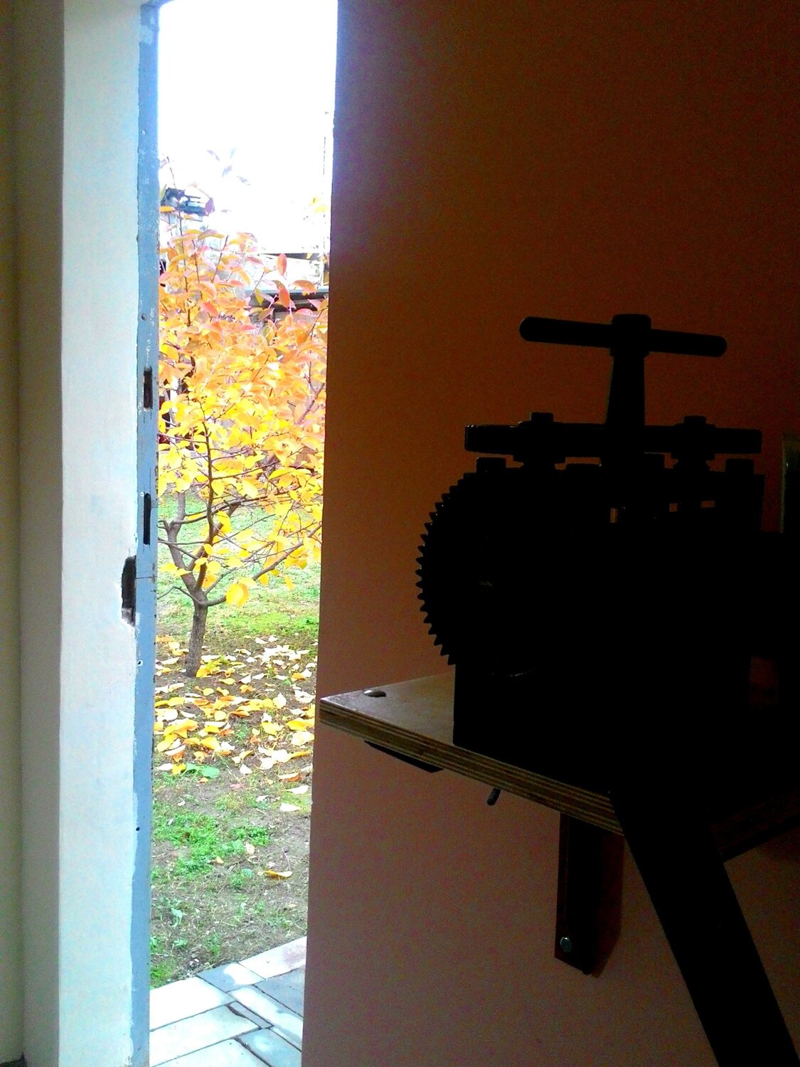 the small tree