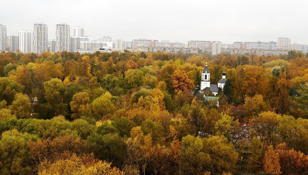 Краски осени.